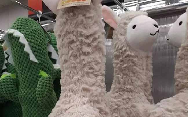 pimple popping toy kmart