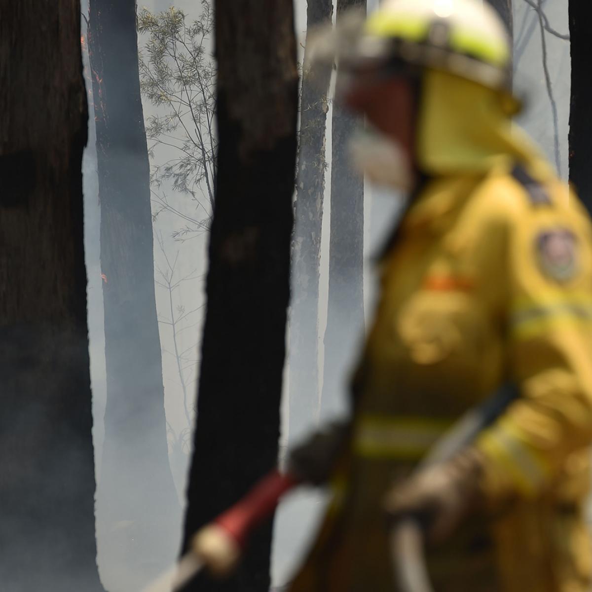 The Rock Roasts Chris Hemsworth In Funny Birthday Message
