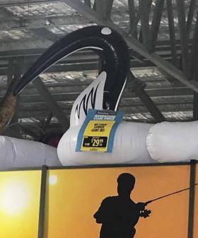 You Can Now Get A HUGE Bin Chicken Pool Inflatable, Just In Time For Summer!