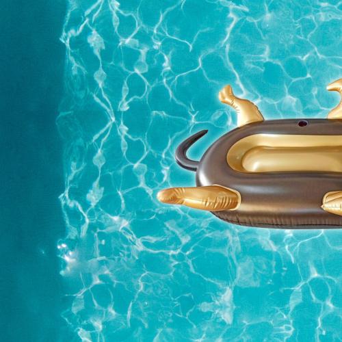 You Can Now Get A HUGE Dachsund Pool Inflatable, Just In Time For Summer!